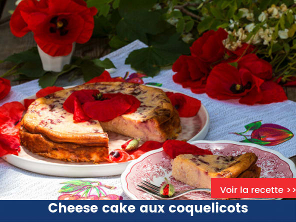 Cheese cake aux coquelicots